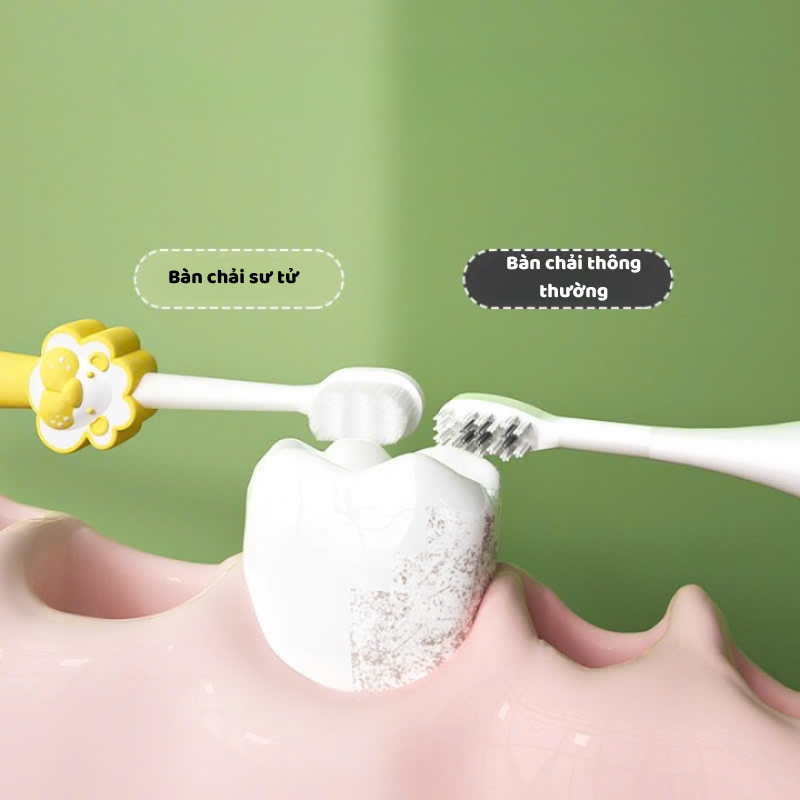 Alternative view of Bàn chải sư tử