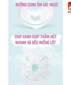 Thấm sữa 1 lần Vcool 50pcs